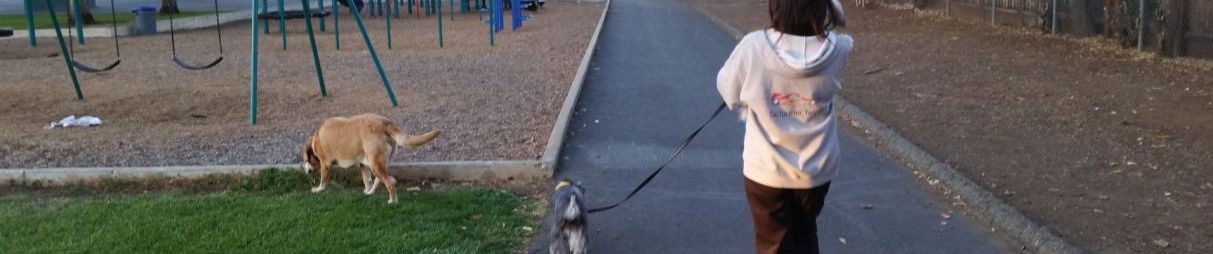 Pictures of dog outings